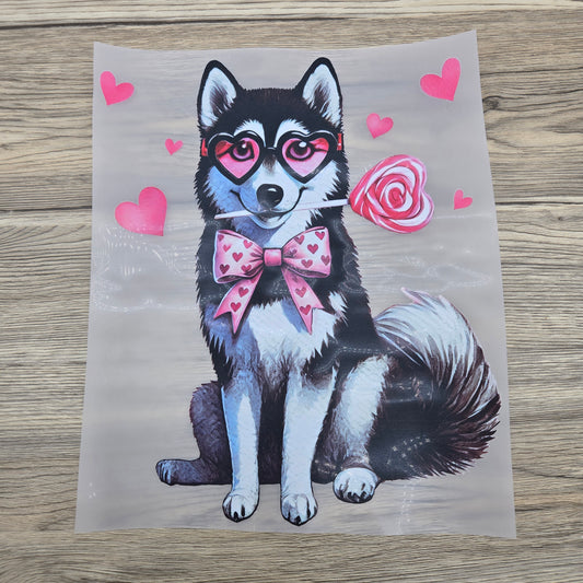 Husky Valentine