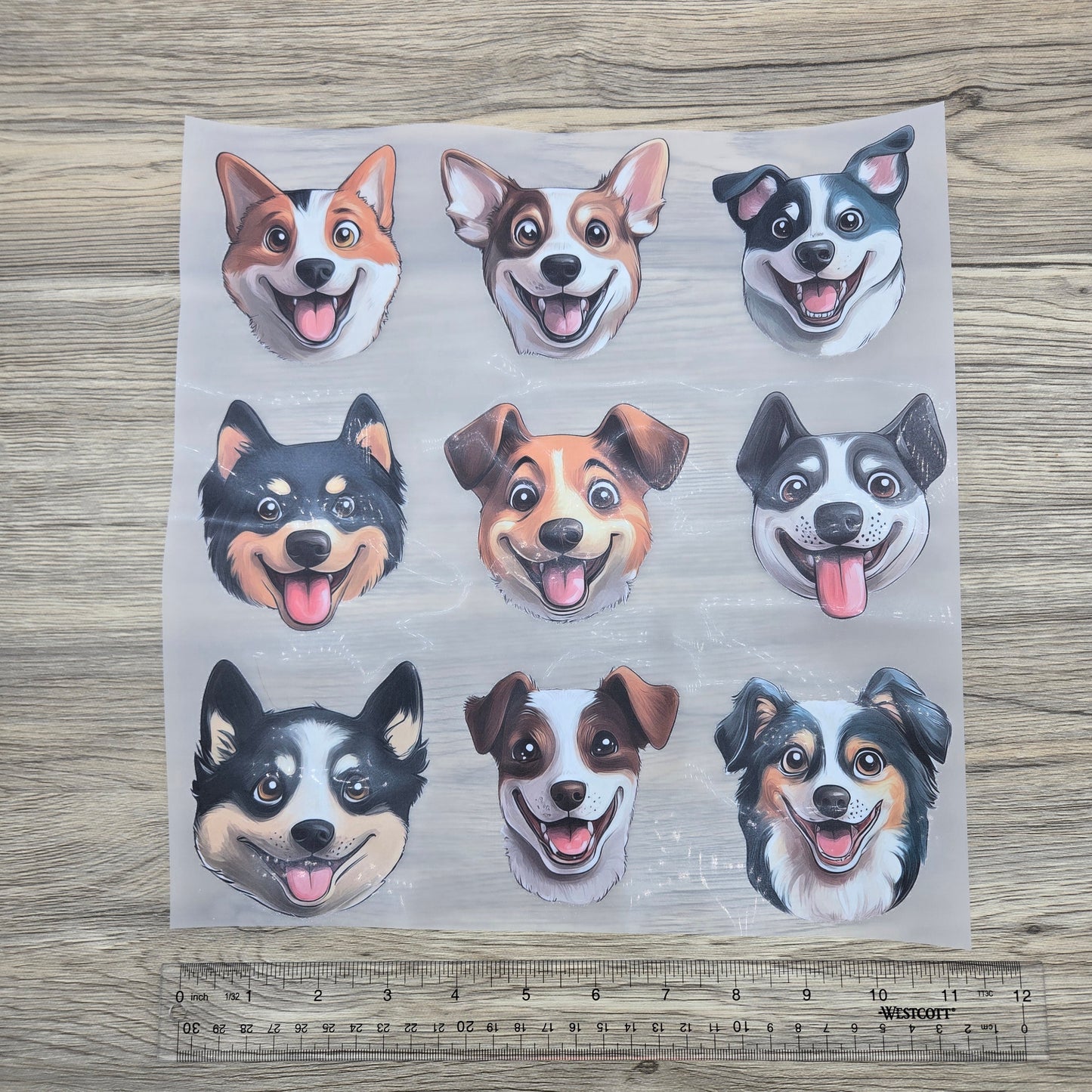 Dog Faces Collage