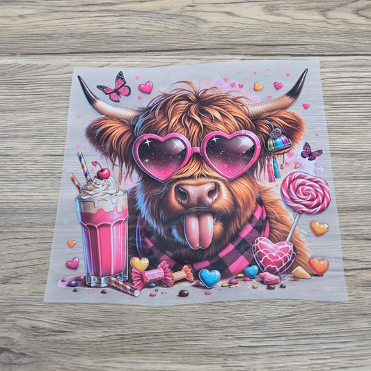 Candy Highland Cow- Kids