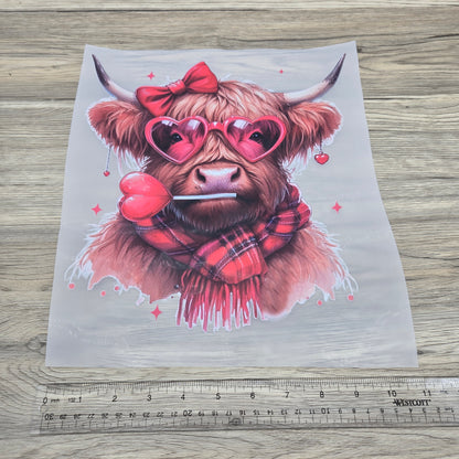 Valentine Lollipop Highland Cow