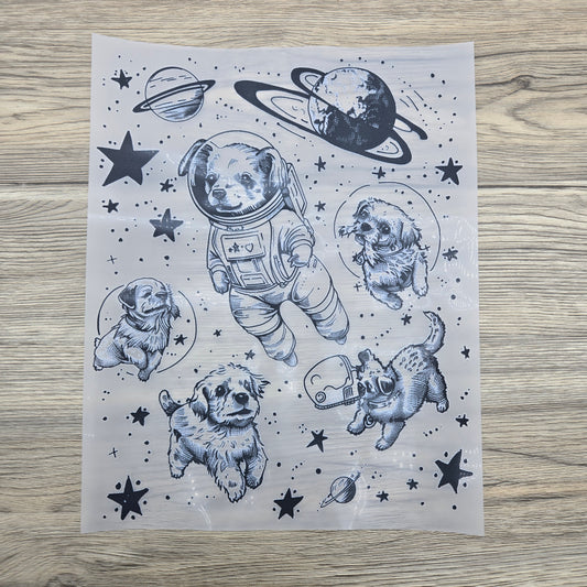 Dogs in Space