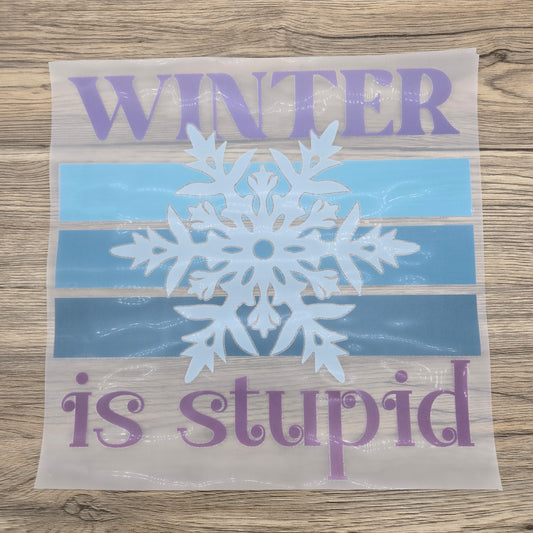 Winter is Stupid