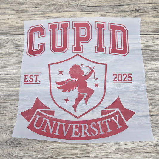 Cupid University