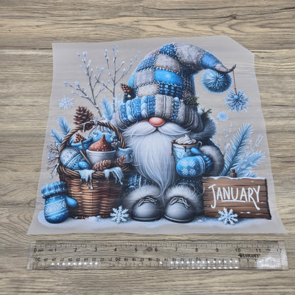 January Winter Gnome